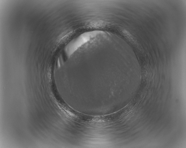 X0000055980640200509091954