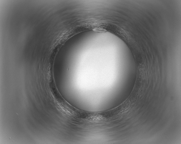 X0000055980642200509091954