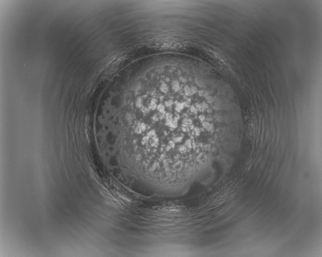 X0000055980643200509091954