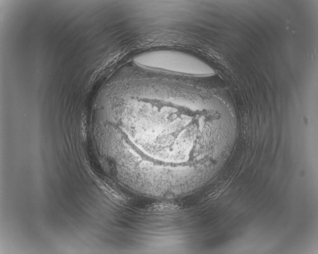 X0000055980644200509091954