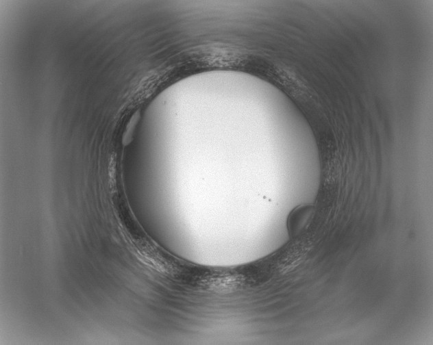 X0000055980646200509091954