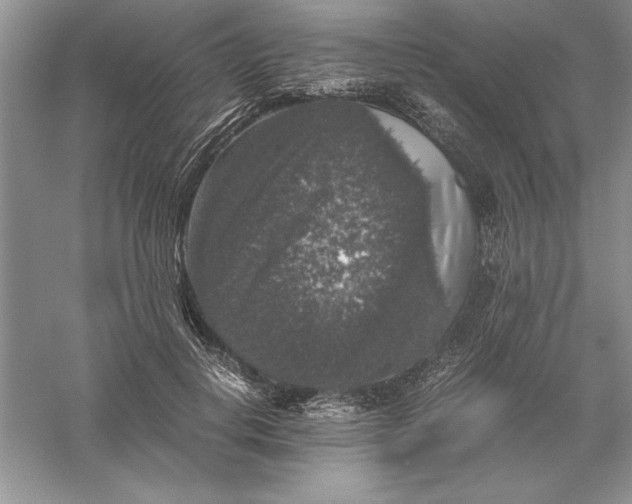 X0000055980648200509091954