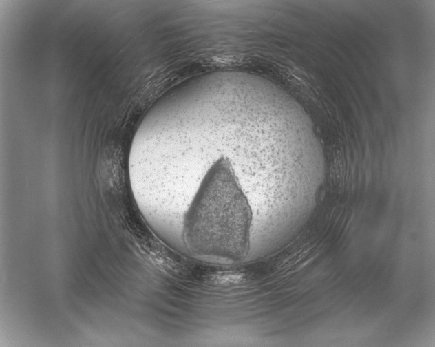 X0000055980651200509091954