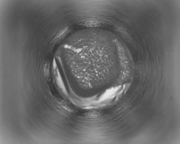 X0000055980652200509091954