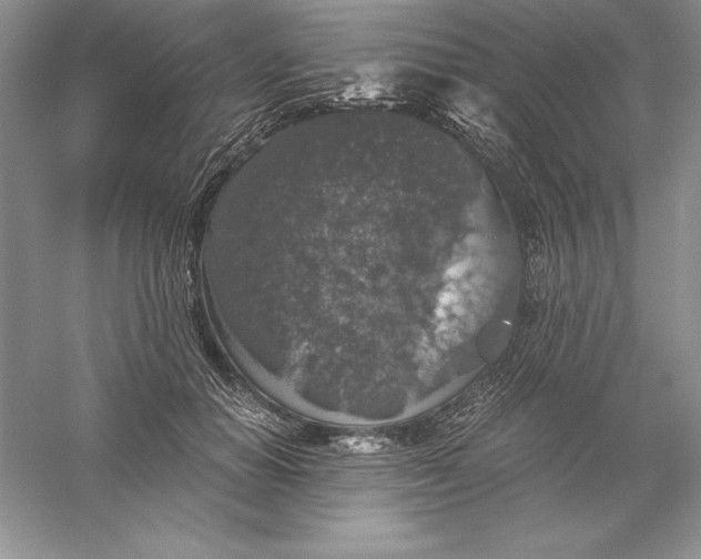 X0000055980654200509091954