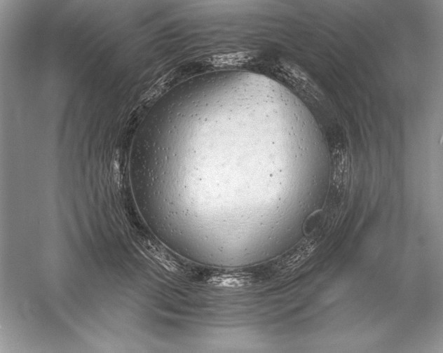 X0000055980655200509091954