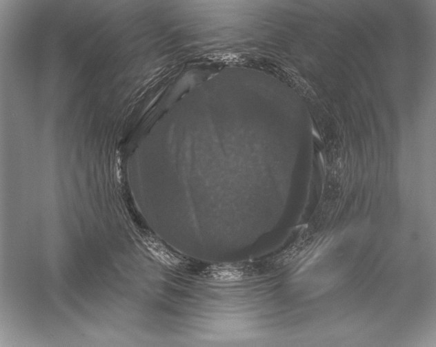 X0000055980658200509091954