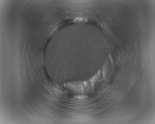 X0000055980659200509091954