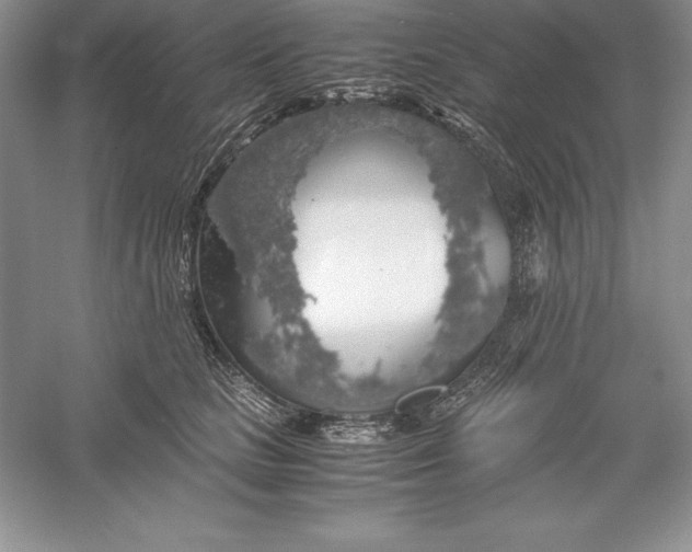 X0000055980661200509091954