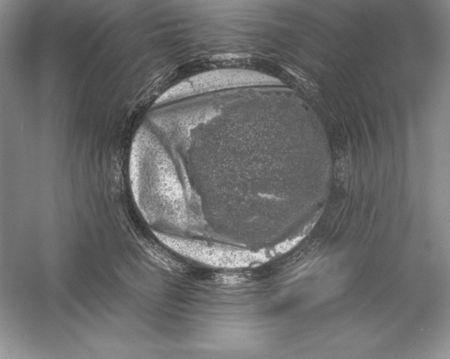 X0000055980662200509091954