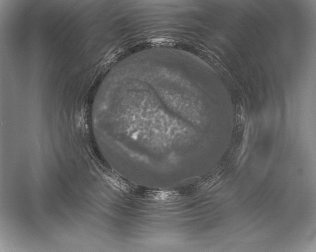 X0000055980663200509091954