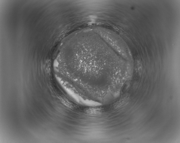 X0000055980664200509091954