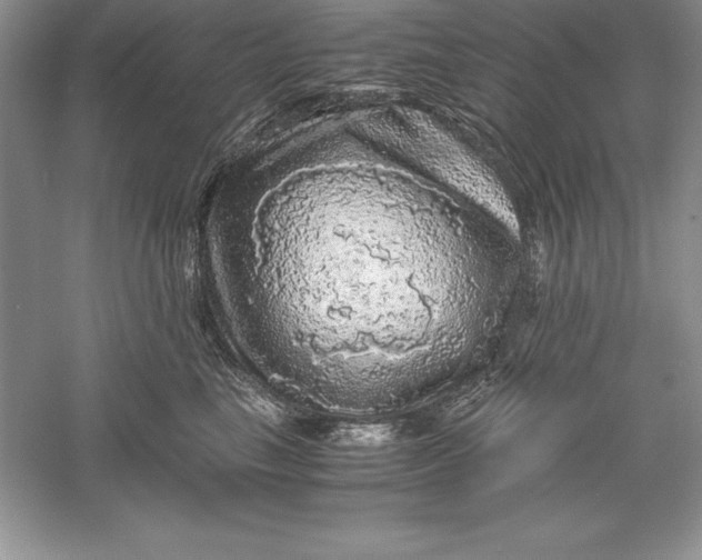 X0000055980665200509091954