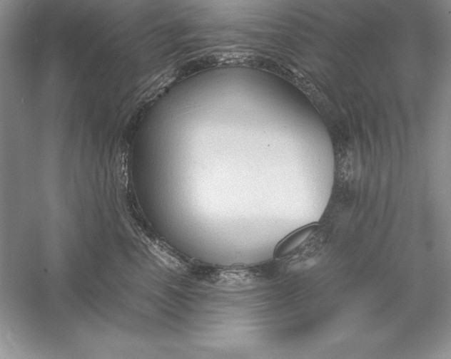 X0000055980666200509091955