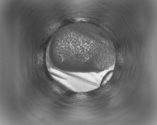 X0000055980668200509091955