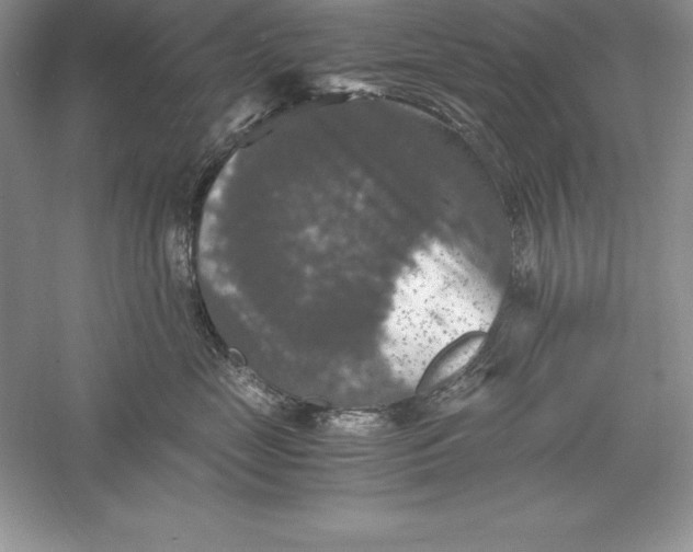 X0000055980669200509091955