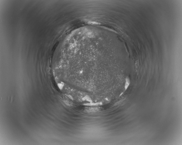 X0000055980671200509091955