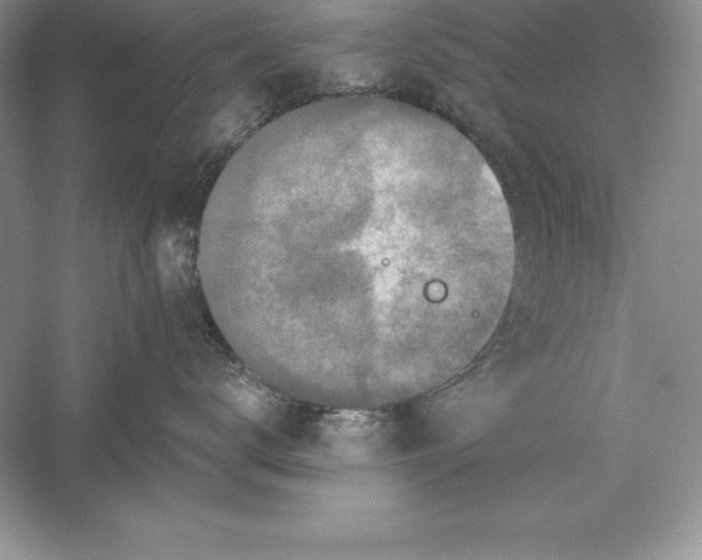 X0000055980672200509091955