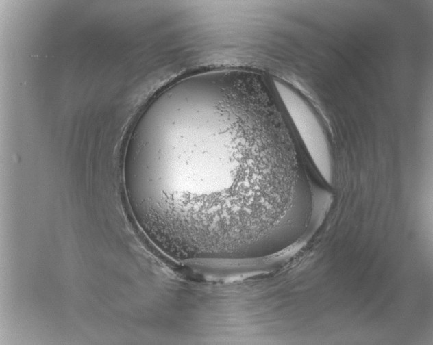 X0000055980673200509091954