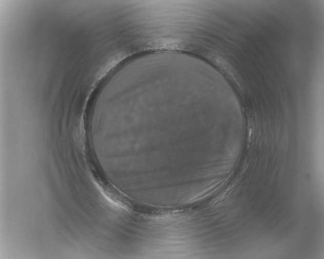 X0000055980674200509091954