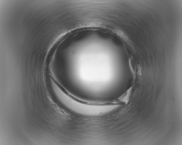 X0000055980676200509091954