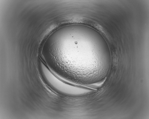 X0000055980677200509091954