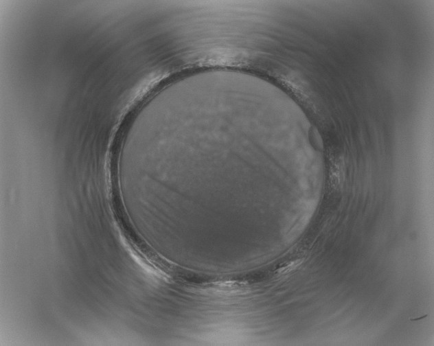 X0000055980678200509091954