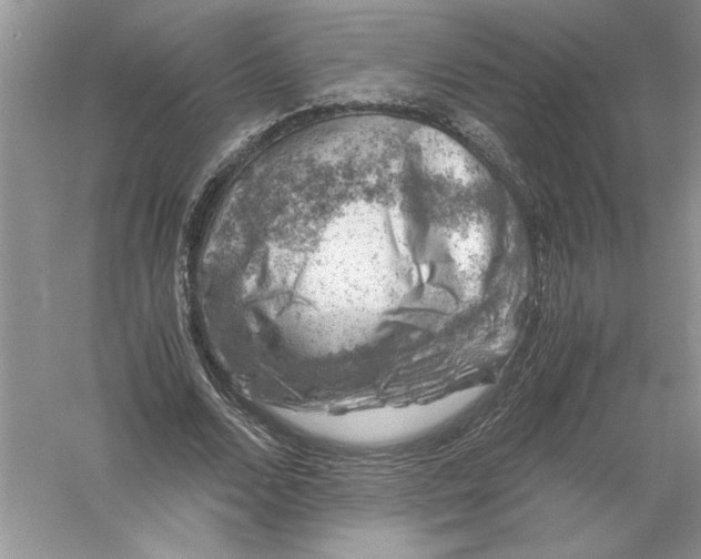 X0000055980680200509091954