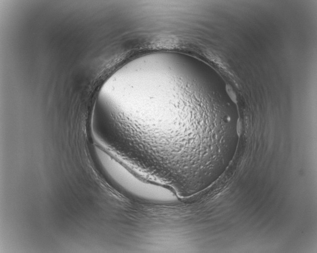 X0000055980681200509091954