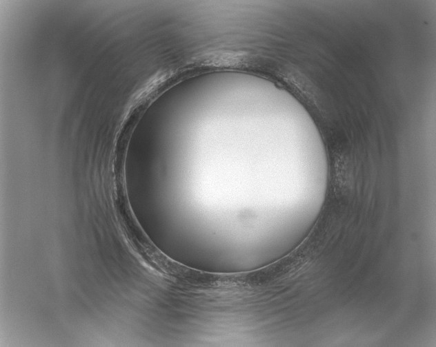 X0000055980682200509091954