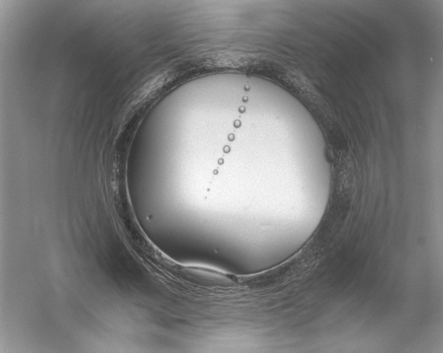 X0000055980683200509091954