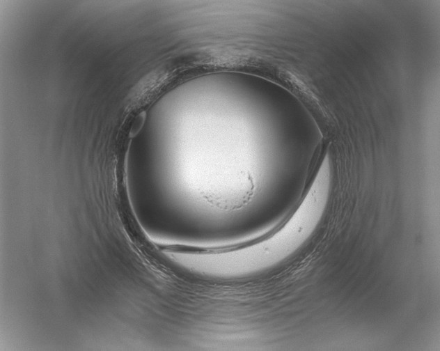 X0000055980685200509091954