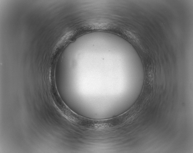 X0000055980686200509091954