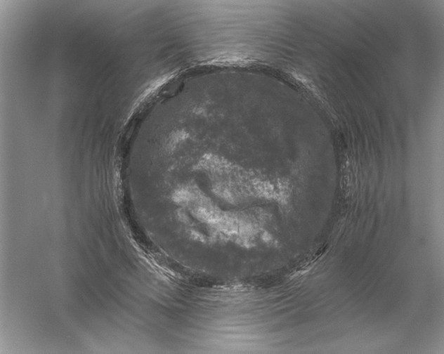 X0000055980688200509091954