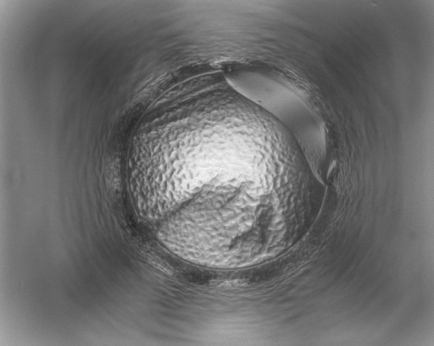 X0000055980689200509091954