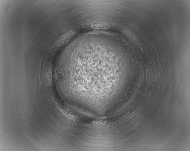 X0000055980690200509091954