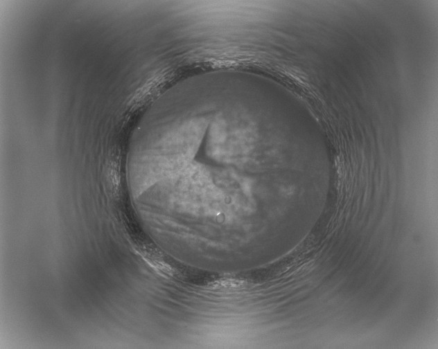 X0000055980691200509091953