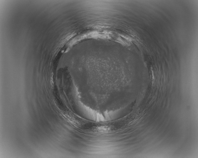 X0000055980692200509091953