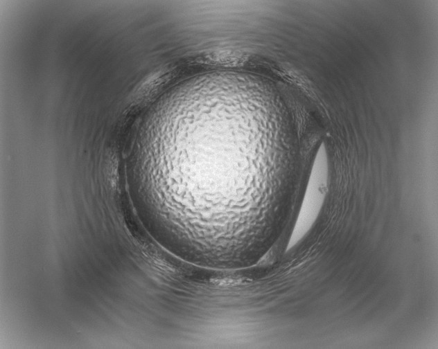 X0000055980693200509091953