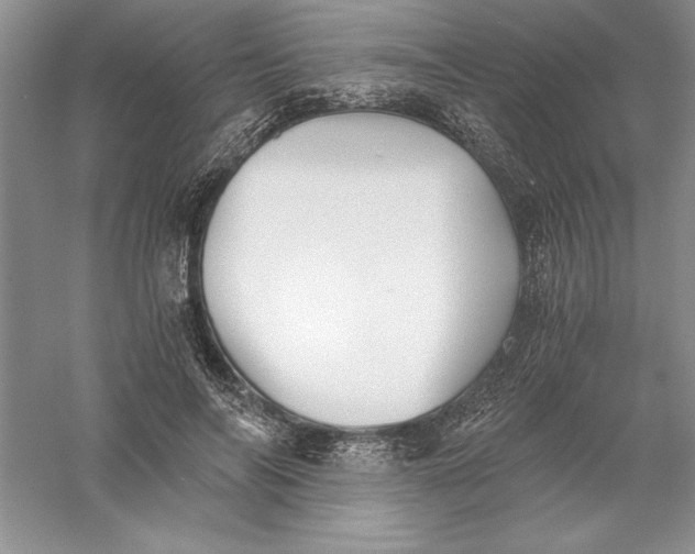 X0000055980694200509091953