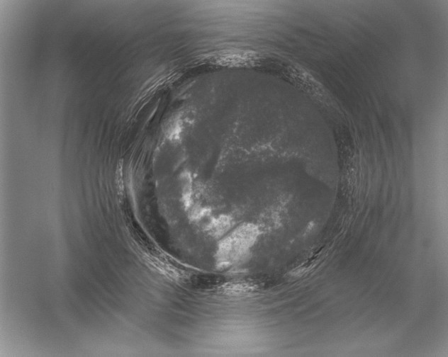 X0000055980696200509091953