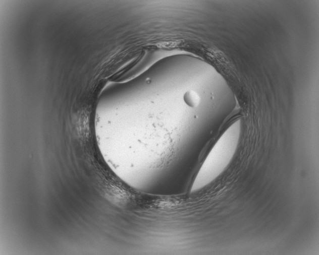 X0000055980697200509091953