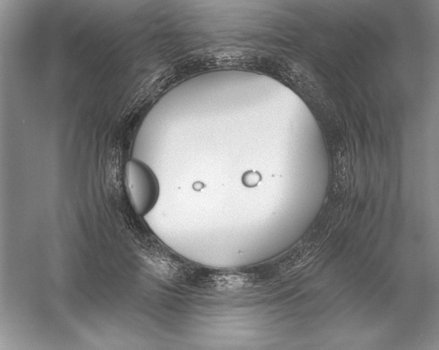 X0000055980698200509091953