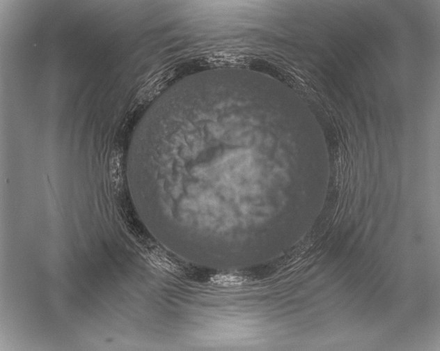 X0000055980699200509091953