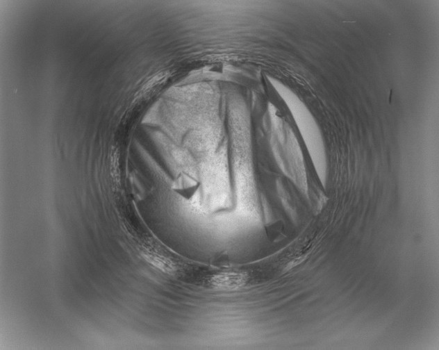 X0000055980700200509091953