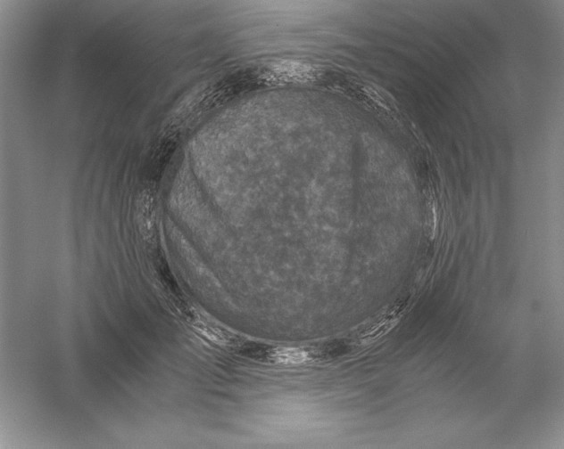 X0000055980701200509091953