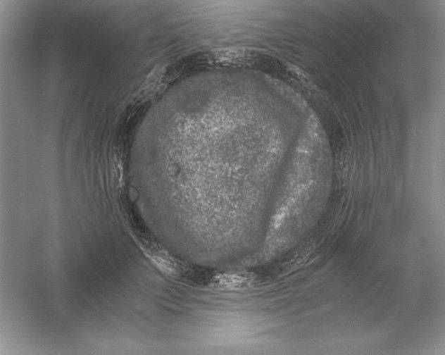 X0000055980703200509091953