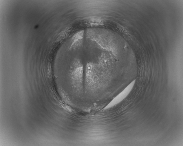 X0000055980704200509091953