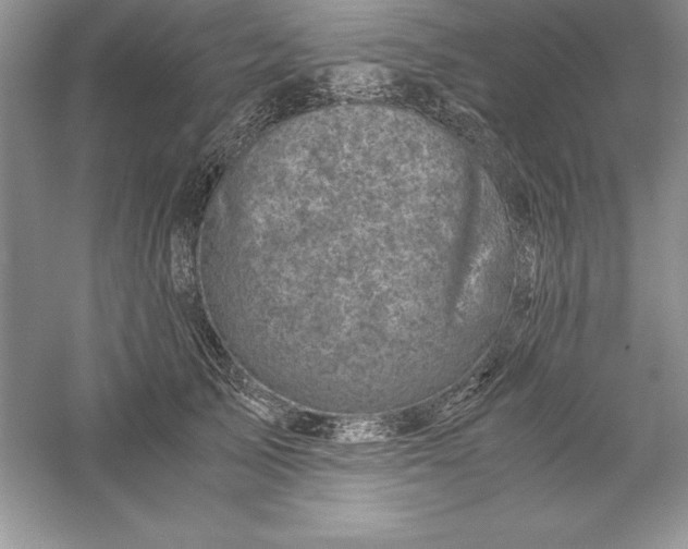 X0000055980705200509091953