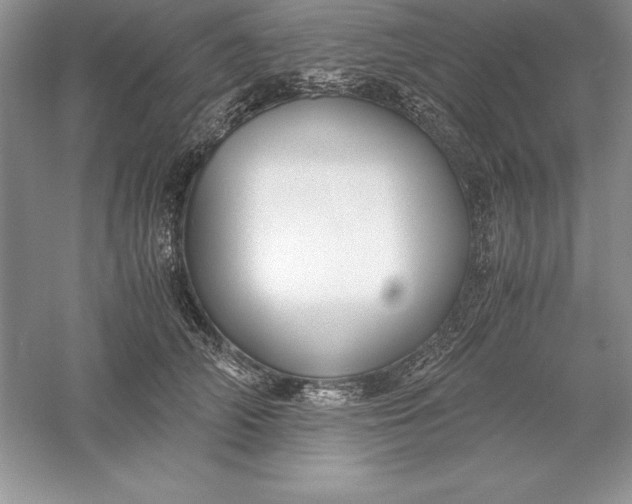 X0000055980706200509091953